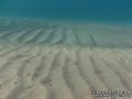 foto de buceo