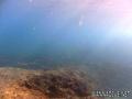 foto de buceo
