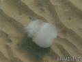 foto de buceo