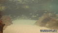 foto de buceo