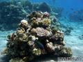 foto de buceo
