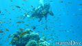 foto de buceo