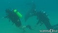 foto de buceo