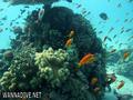 foto de buceo