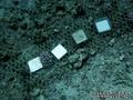 foto de buceo