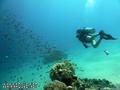 foto de buceo