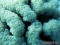 foto de buceo