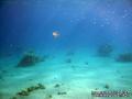 foto de buceo