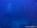 foto de buceo