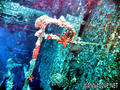 foto de buceo