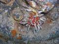 foto de buceo
