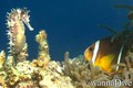 foto de buceo