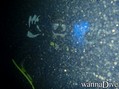 foto de buceo