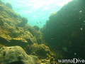 foto de buceo