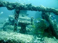 foto de buceo