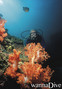 foto de buceo