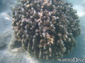 foto de buceo