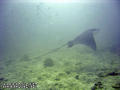foto de buceo