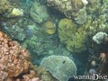 foto de buceo