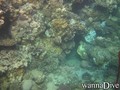 foto de buceo
