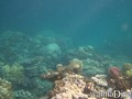 foto de buceo