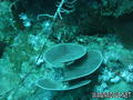 foto de buceo
