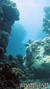 foto de buceo