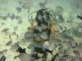 foto de buceo