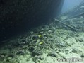 foto de buceo