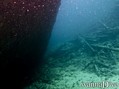 foto de buceo