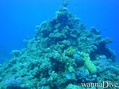 foto de buceo