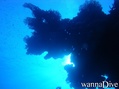foto de buceo