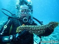 foto de buceo