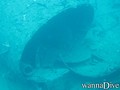foto de buceo