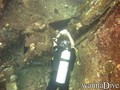foto de buceo