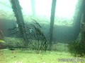 foto de buceo