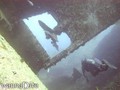foto de buceo