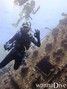foto de buceo