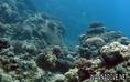 foto de buceo