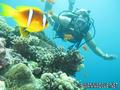 foto de buceo