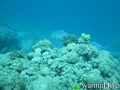 foto de buceo