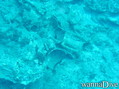 foto de buceo