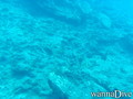foto de buceo