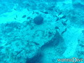 foto de buceo