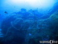 foto de buceo