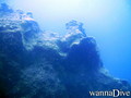 foto de buceo