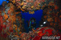 foto de buceo