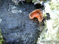 foto de buceo