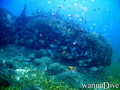 foto de buceo