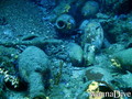 foto de buceo